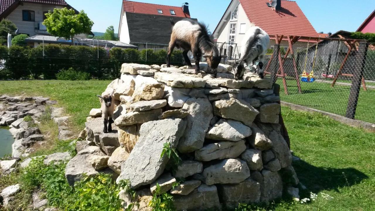 Home&Classic Erlebnisscheune Effelder  Bagian luar foto